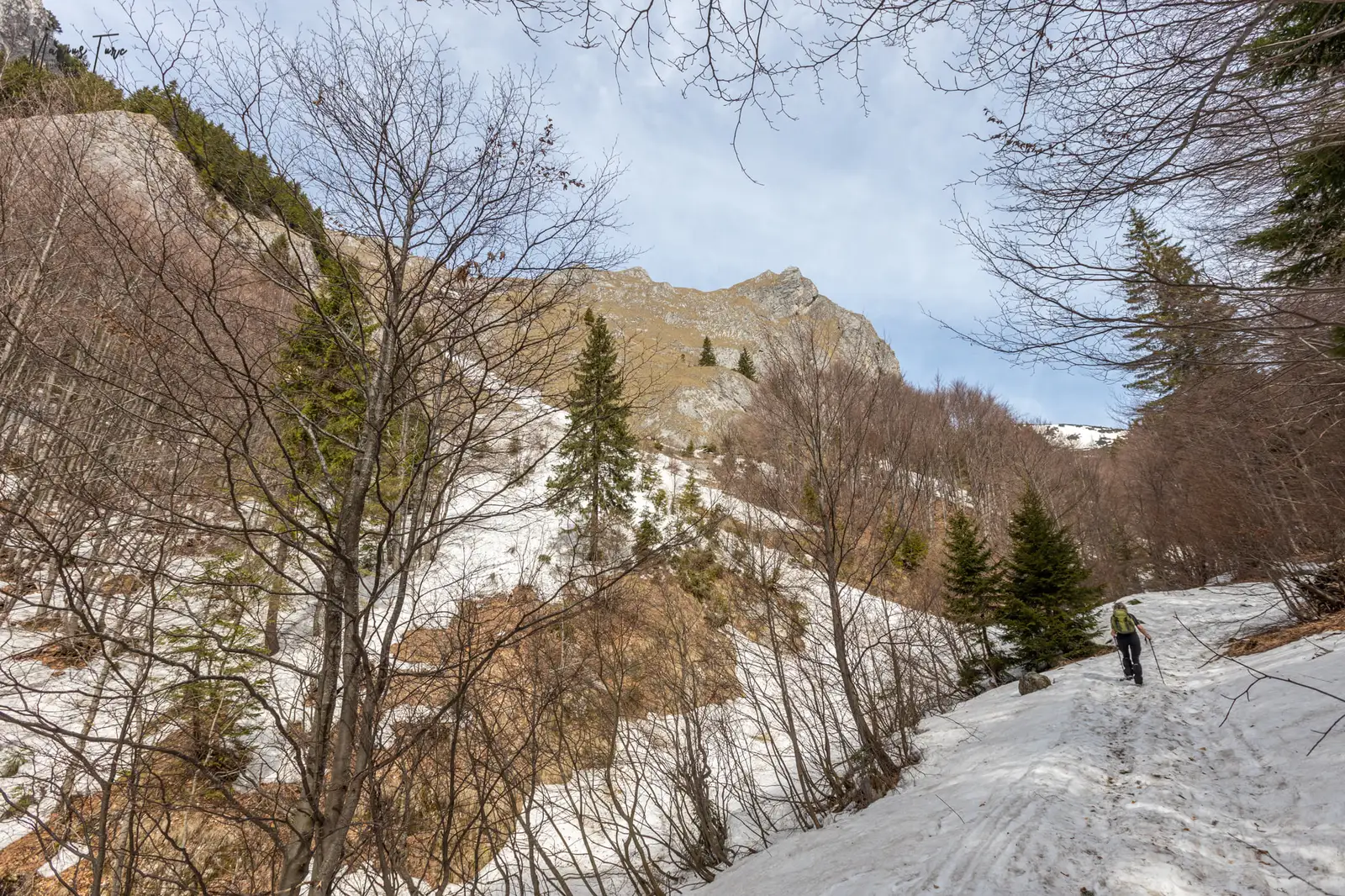  Urcare pe vale, cu Vf Biserica in fundal - Marius Turc