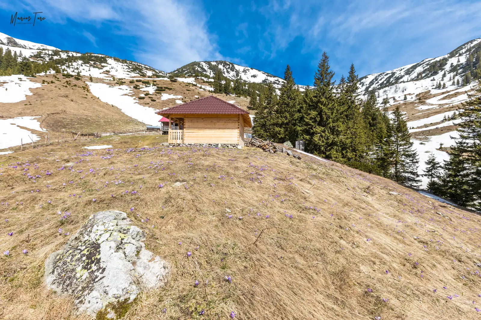  Noua Stana Scorota - Marius Turc