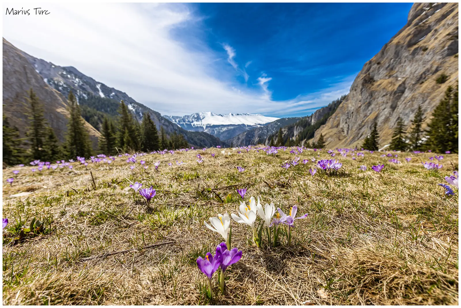  Creasta Oslea, vazuta din Retezatul Mic- Marius Turc