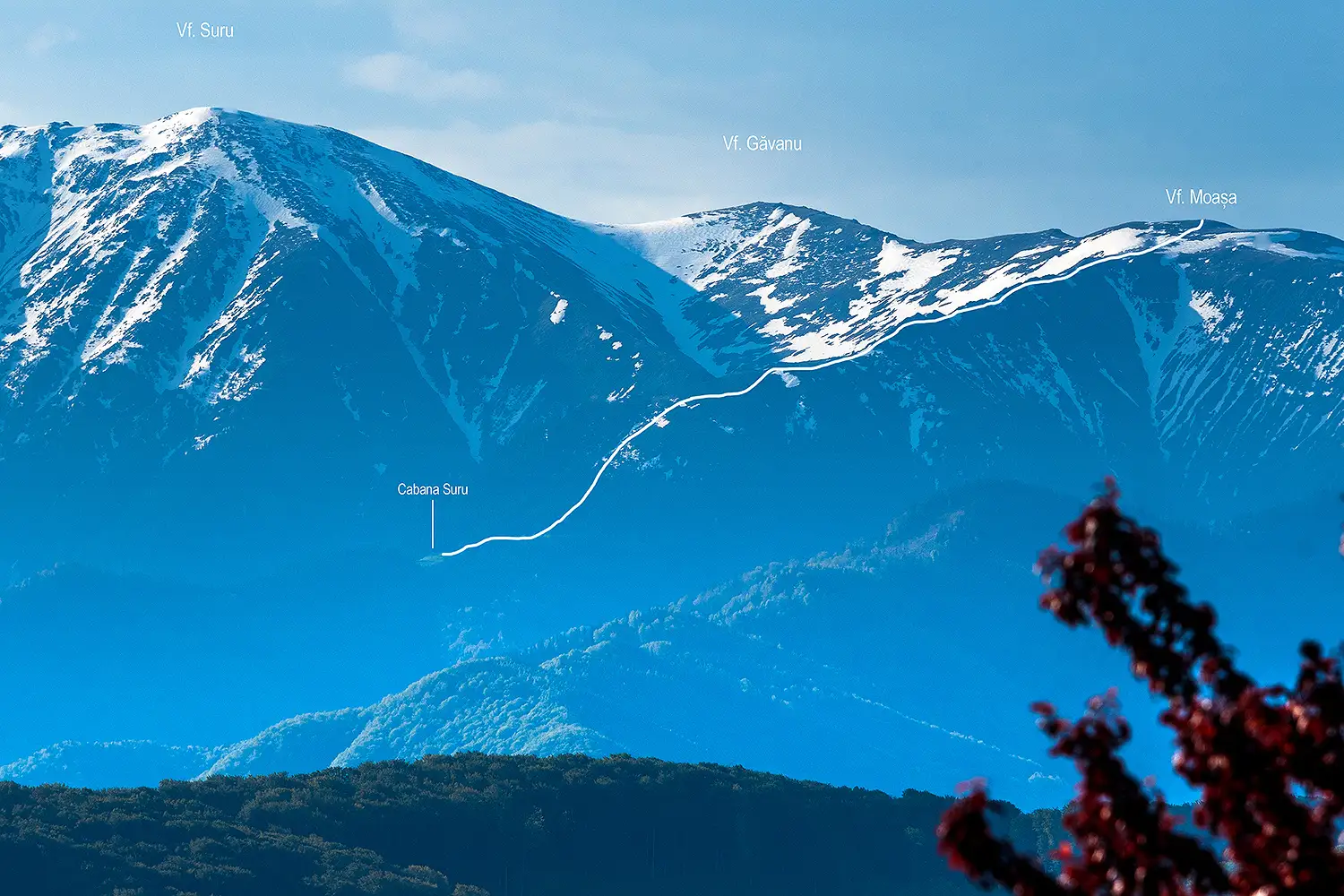  Traseul dintre Cabana Suru și Vf. Moașa. - Daniel Morar