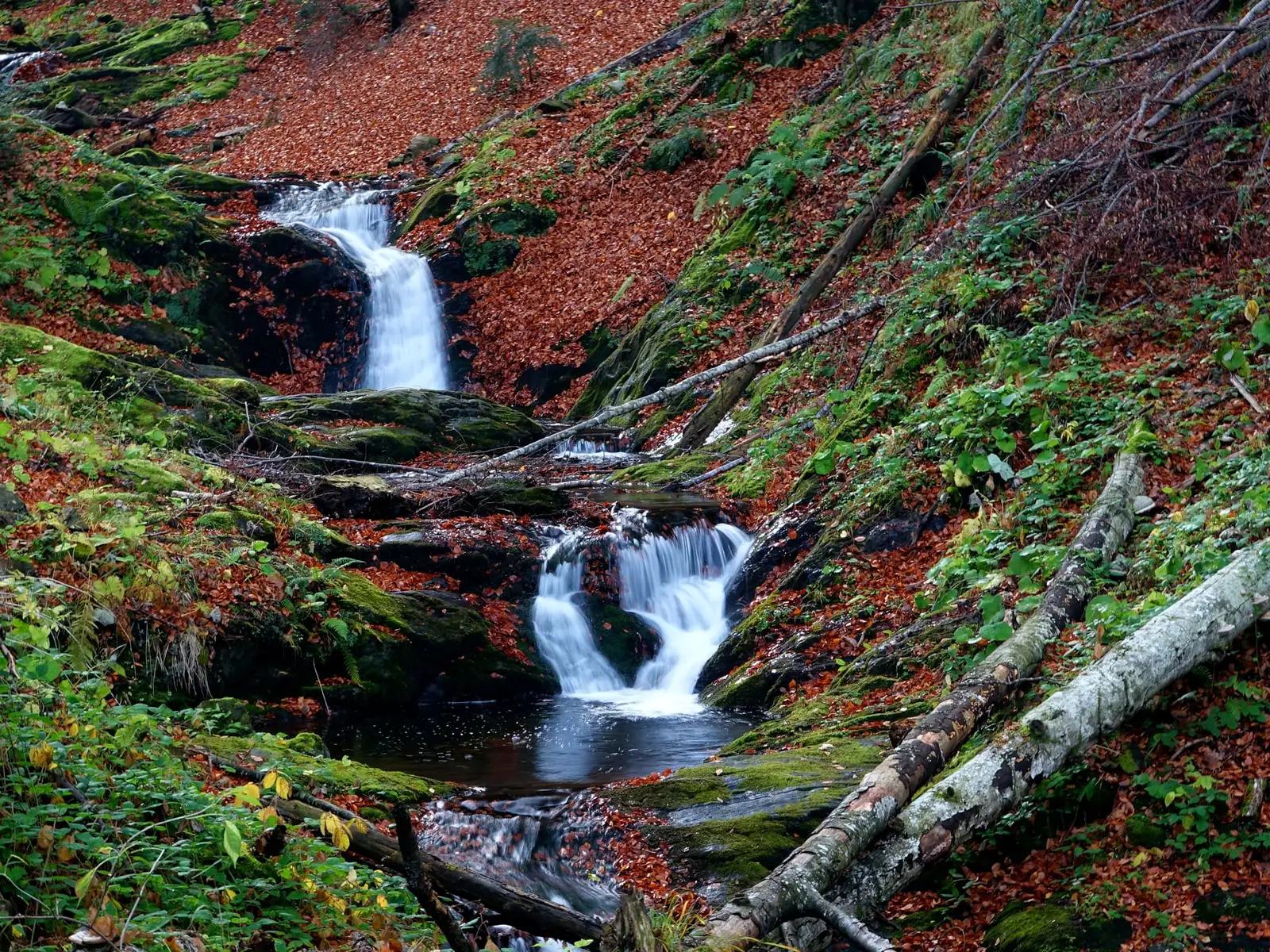  Cascadele Valea Moașei - Marius Munteanu