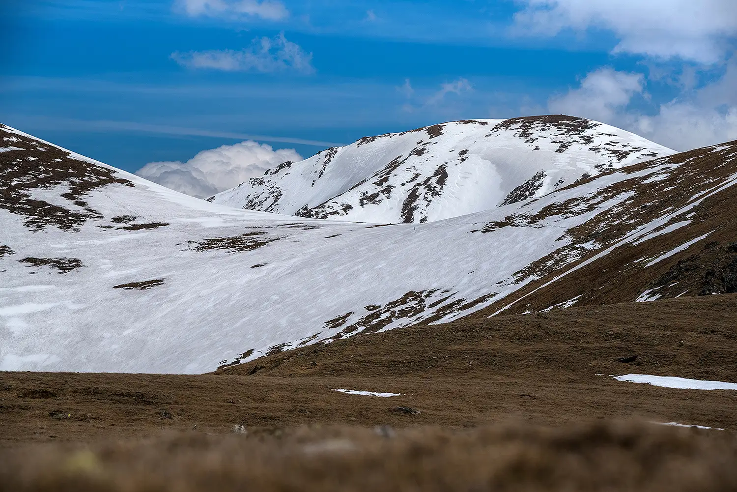  Vf. Budislavu, văzut prin Curmătura Surului - Daniel Morar