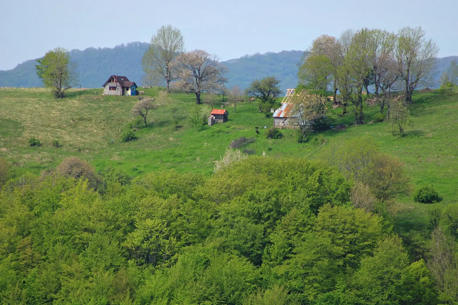 Case izolate din Inelet - Sima Constantin