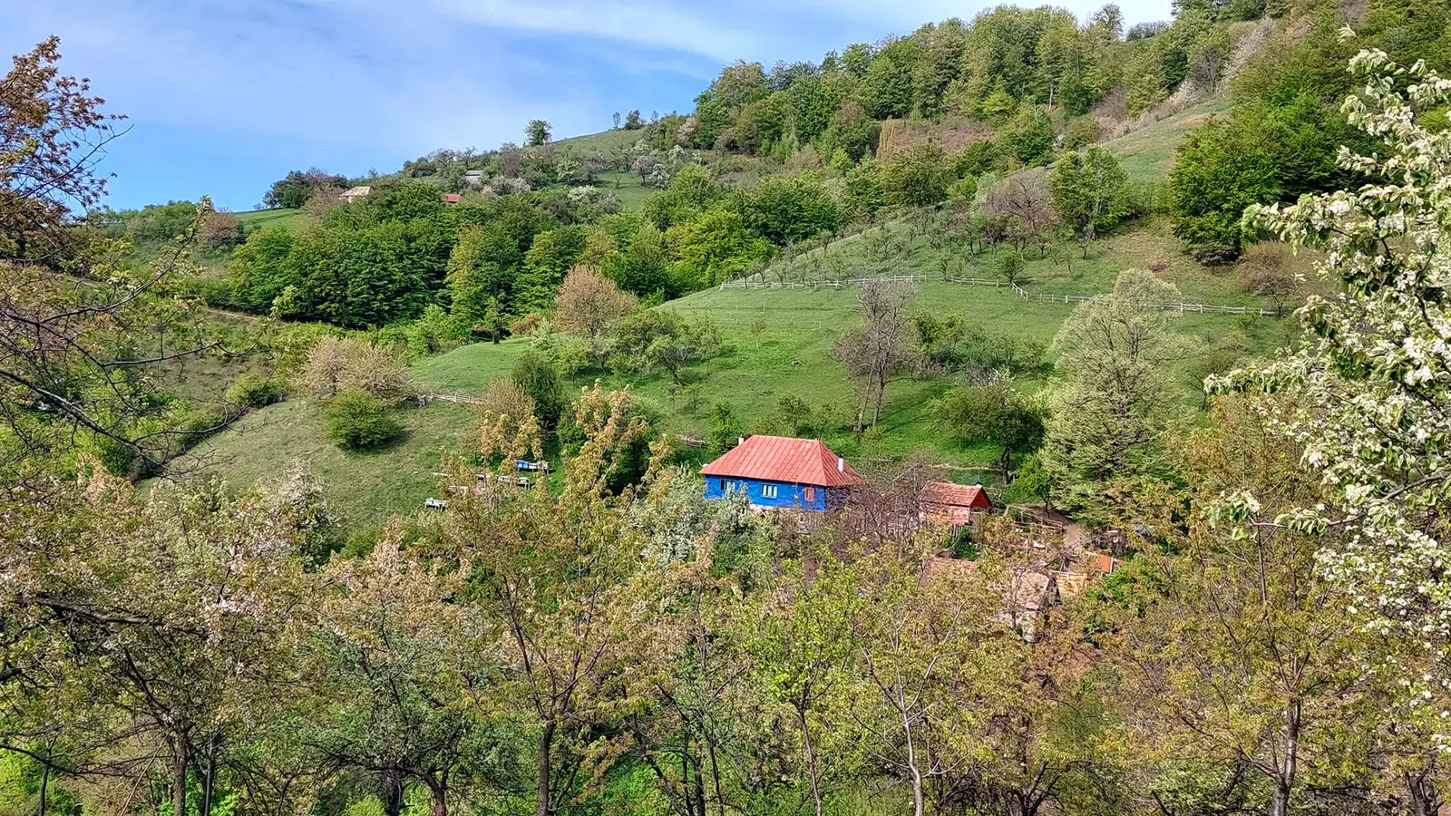 Căsuța Albastră. - Sima Constantin