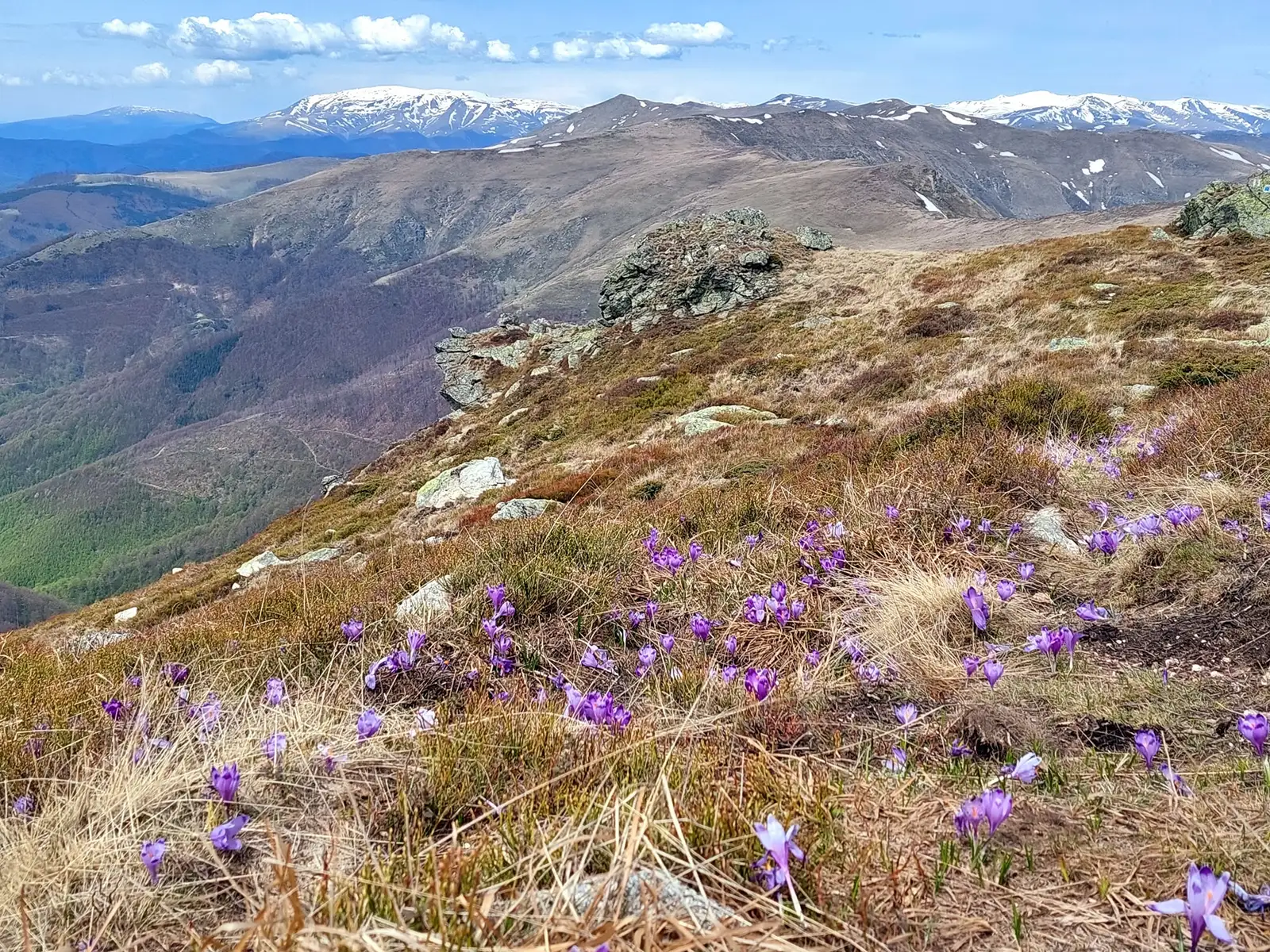 Creasta Cernei până în Țarcu și masivul Godeanu - Sima Constantin