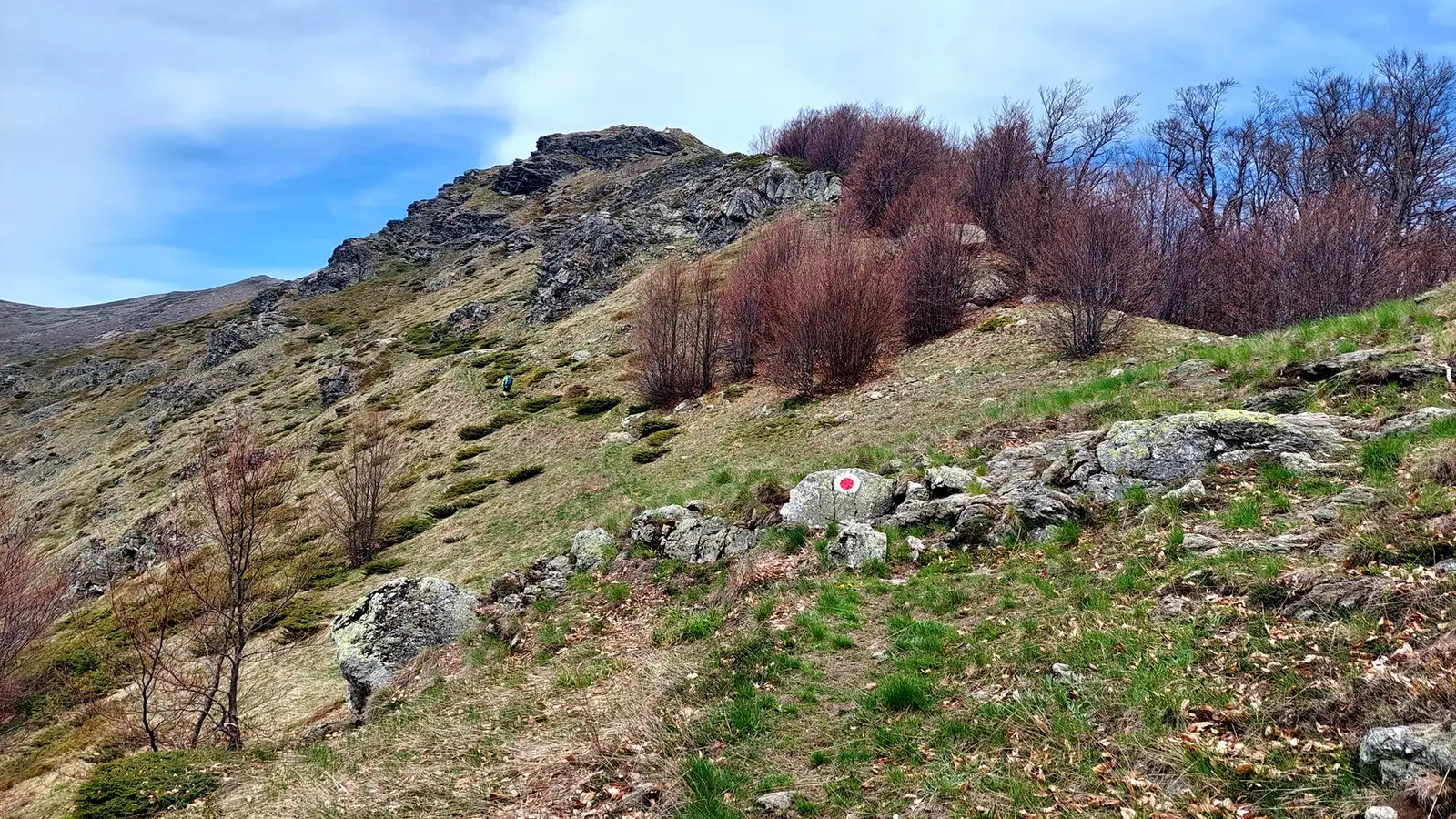 Culmea Știvuța. - Sima Constantin