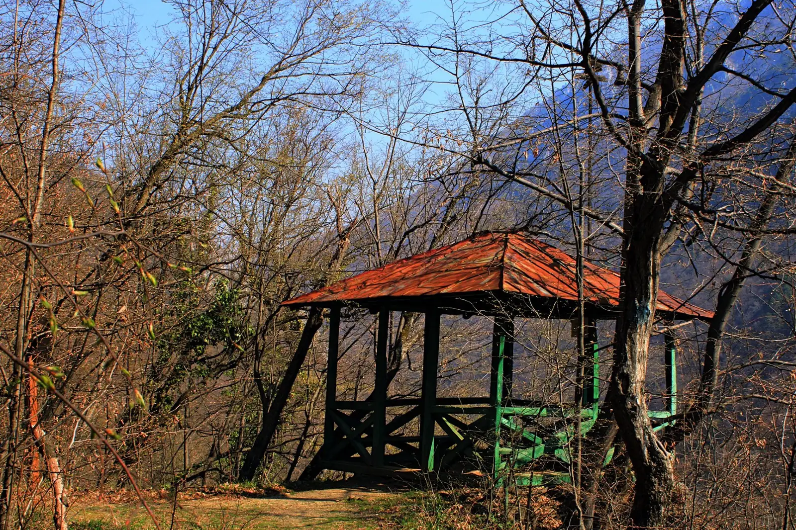 Foişorul Verde - Sima Constantin