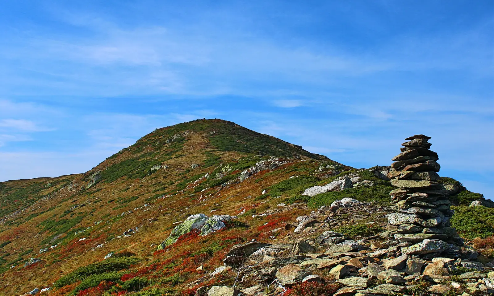 Momâile din piatră de pe Vârful lui Zglivit. - Sima Constantin