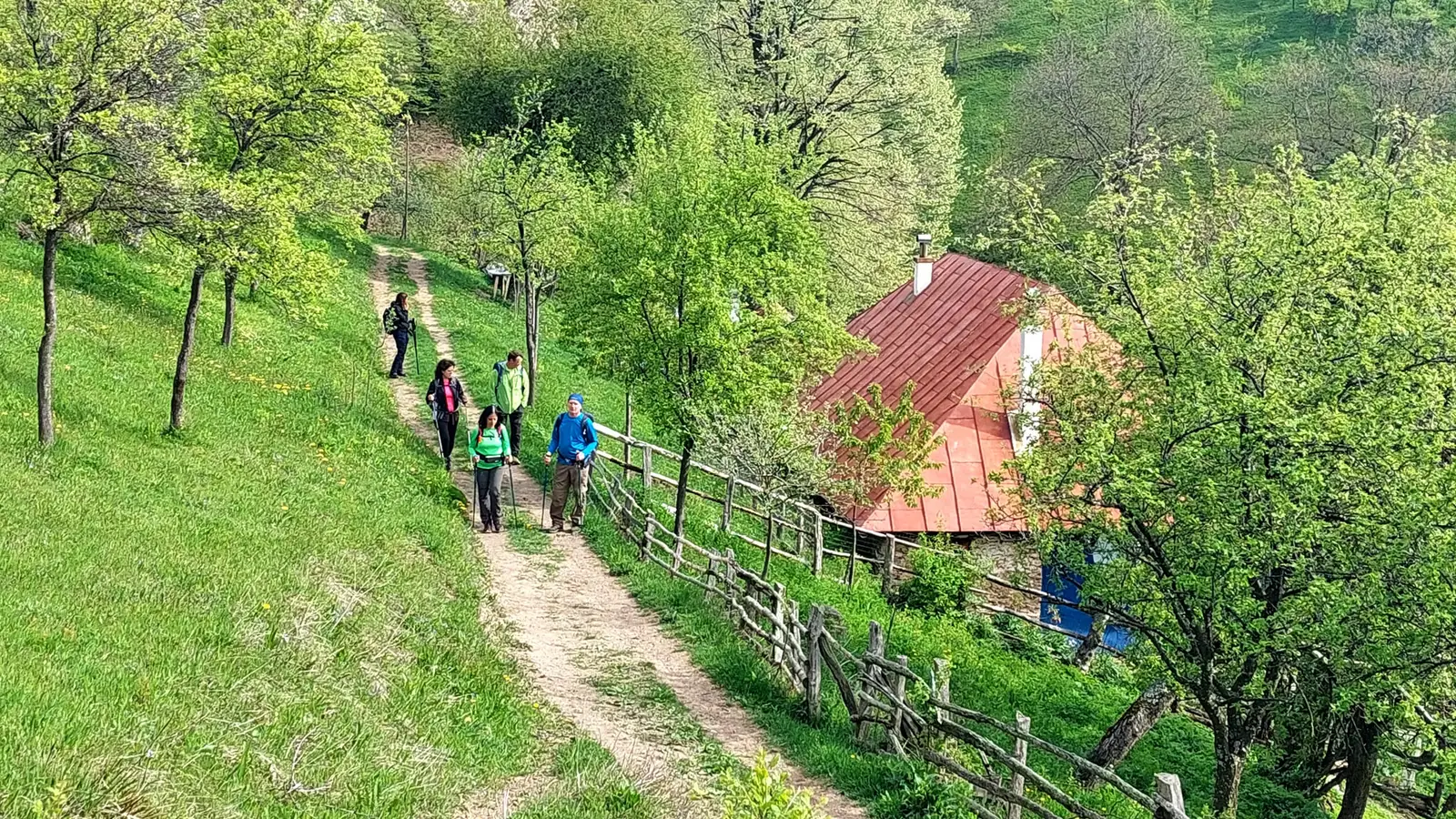 Pe ulița satului Ineleț - Sima Constantin