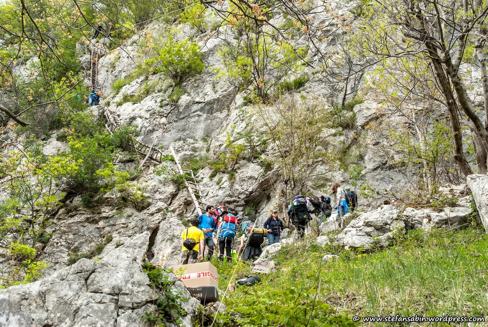 Scarile spre Inelet - Ionuţ Vlad
