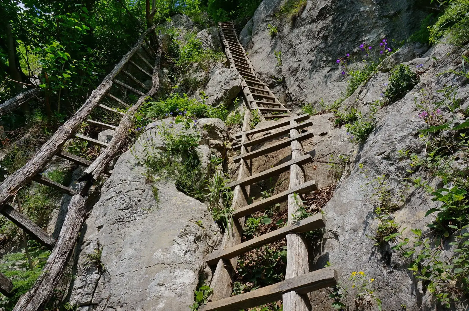 Scarile din Inelet - Adrian Vintila