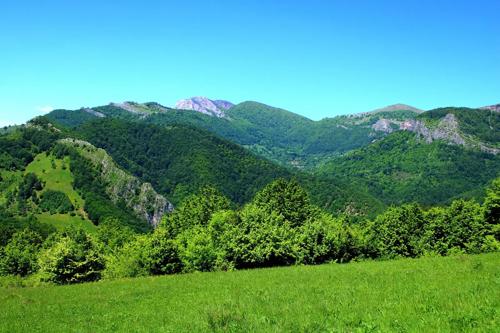 Vârful Arjana văzut din Cătunul Prisăcina - Sima Constantin