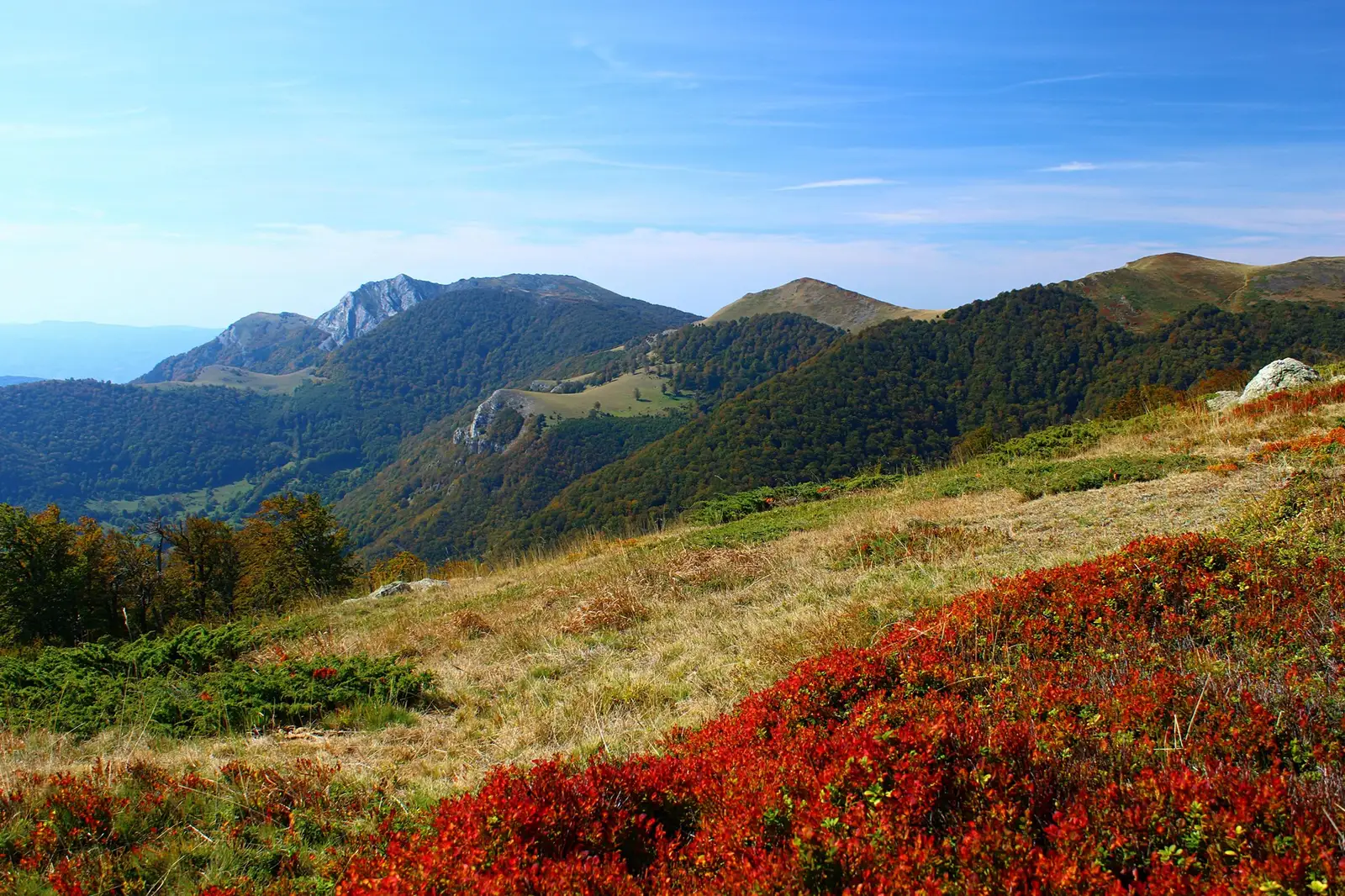 vedere catre trio-ul Biliana - Zascol - Arjana - Sima Constantin