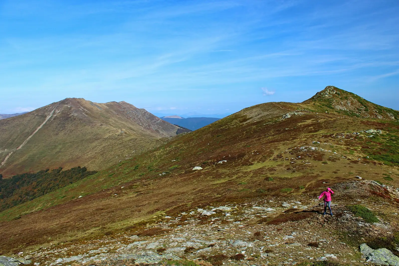 Vedere de pe Vf Iuții spre Culmea Vlașcu - Sima Constantin