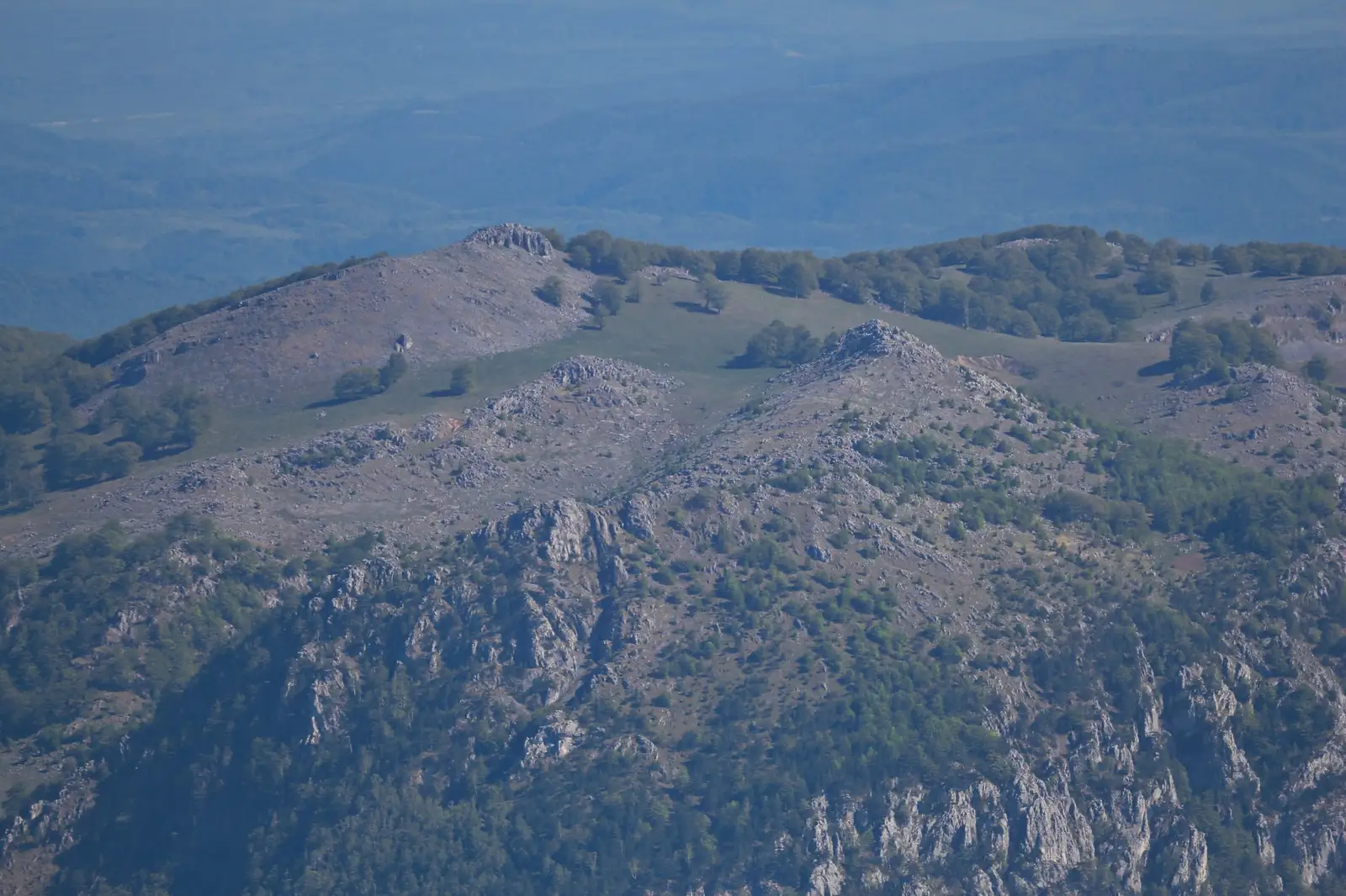 Vedere spre Poienile de Sus - Liana Marin
