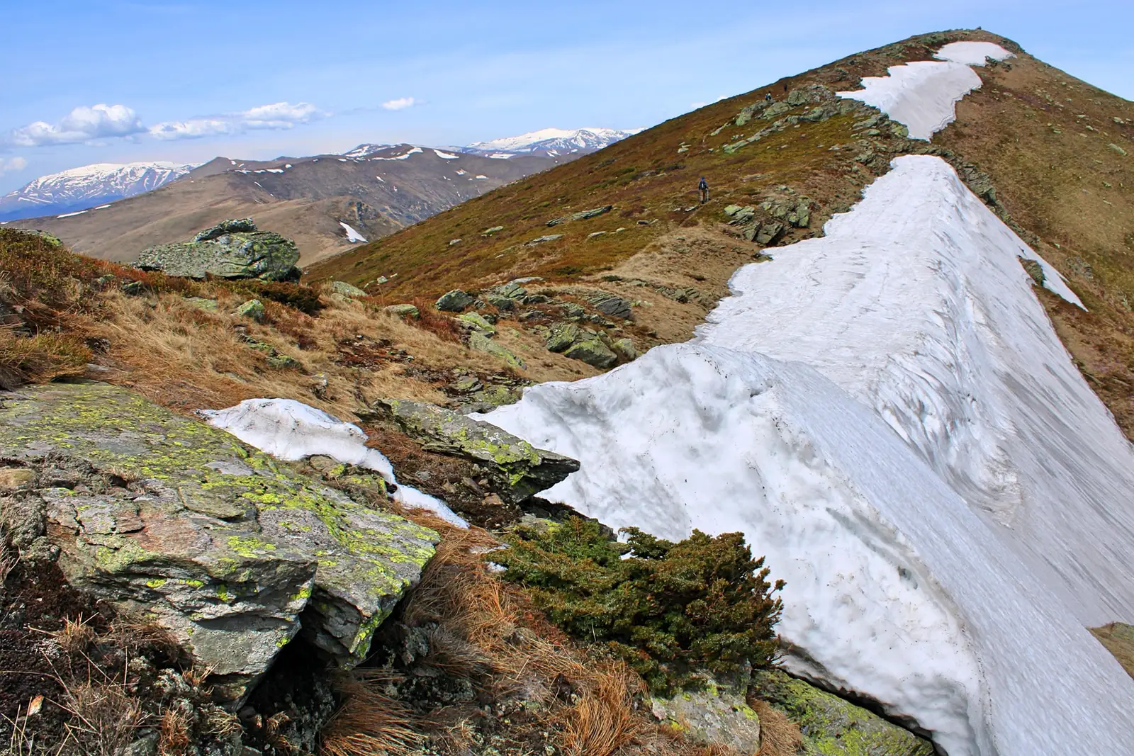 Vf. Vlașcu Mic - Sima Constantin