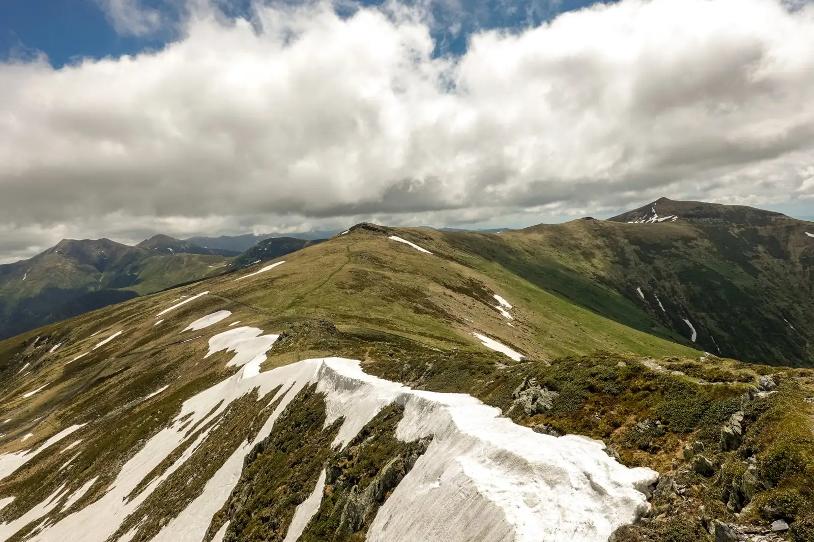 Tarnita la Cruce - Csaba-Ilie Silvesan