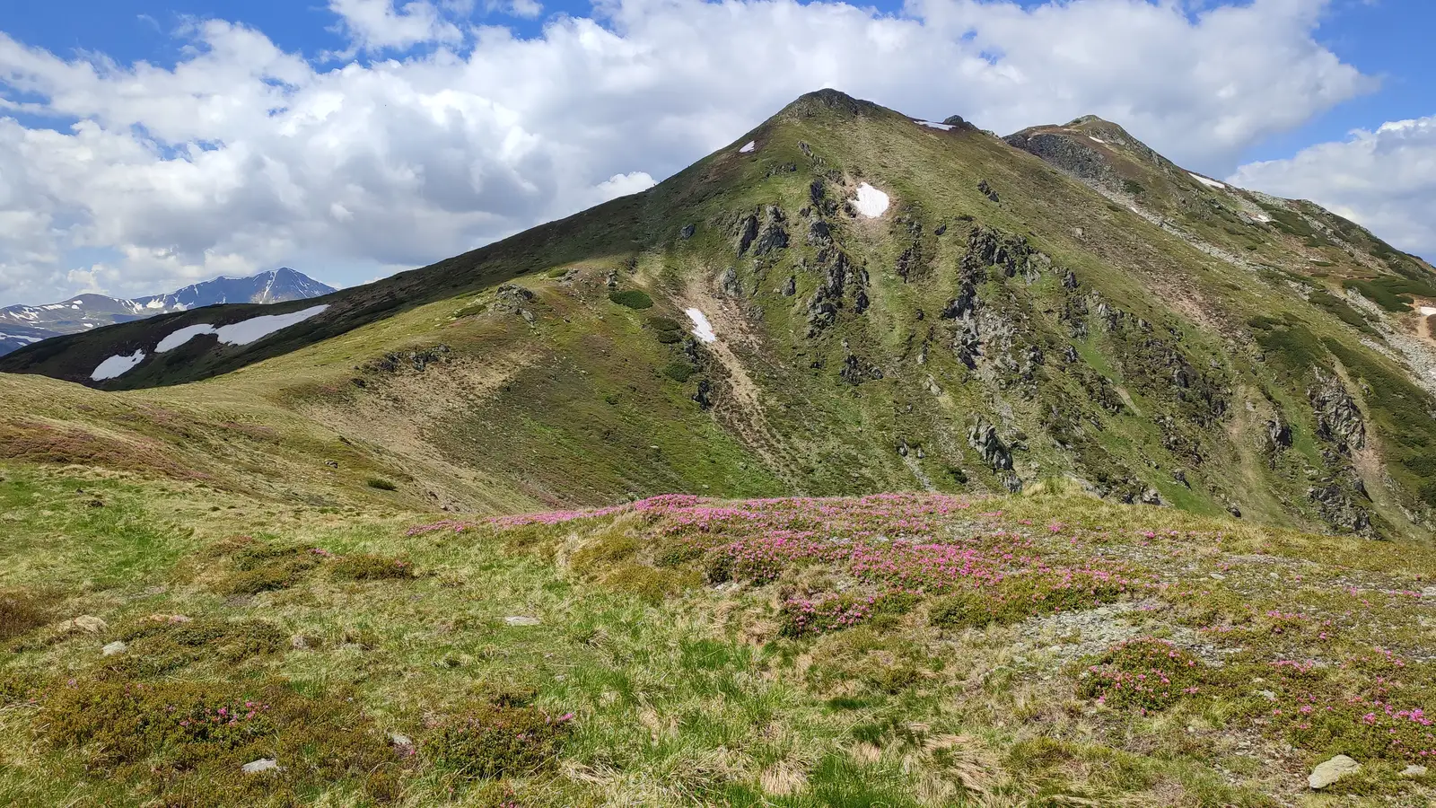  Șaua Puzdrele și Vf. Puzdrele - Manu Munțomanu