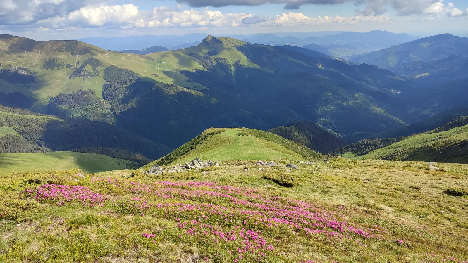  Sub Vf. Galațului spre Corongiș - Manu Munțomanu.