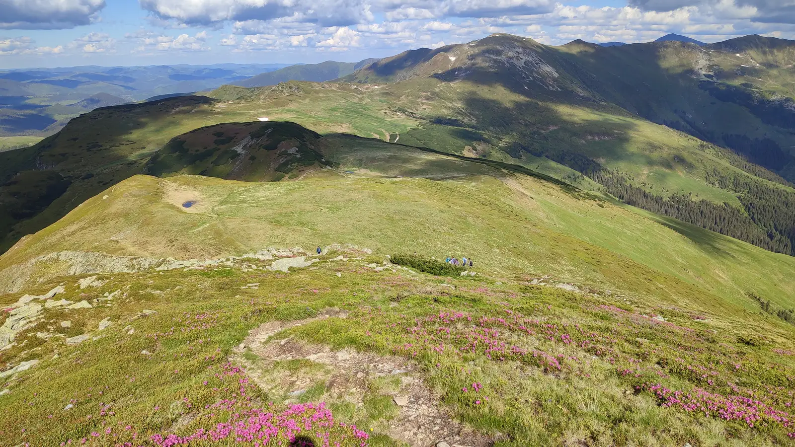  Sub Vf. Galațului spre zona La Izvoare - Manu Munțomanu. 