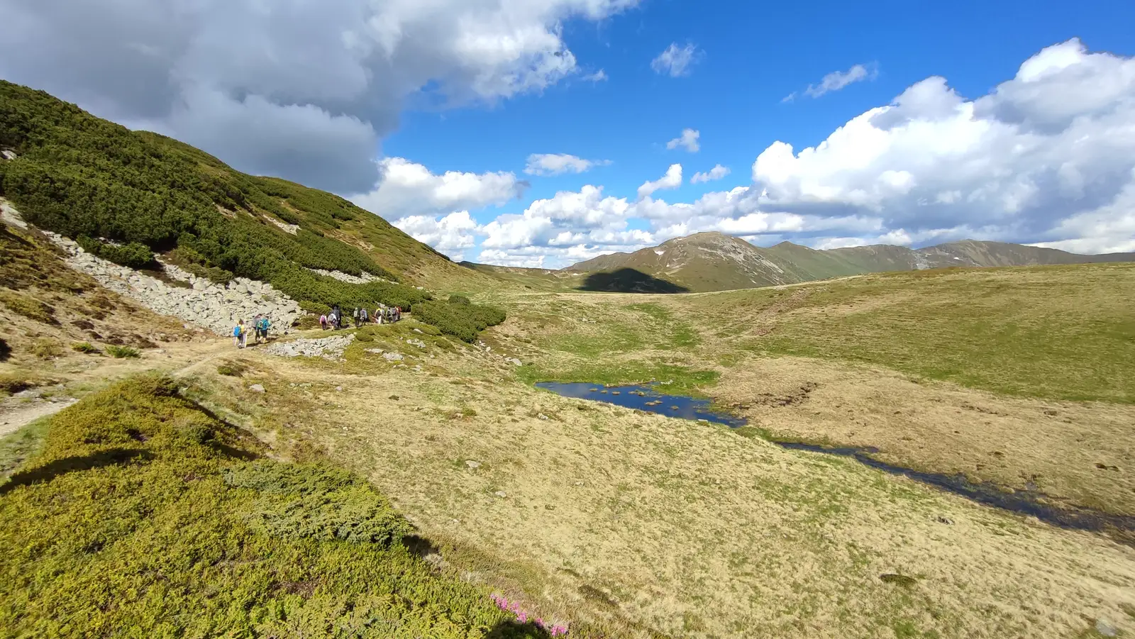  Lângă Lacul Cailor - Manu Munțomanu.