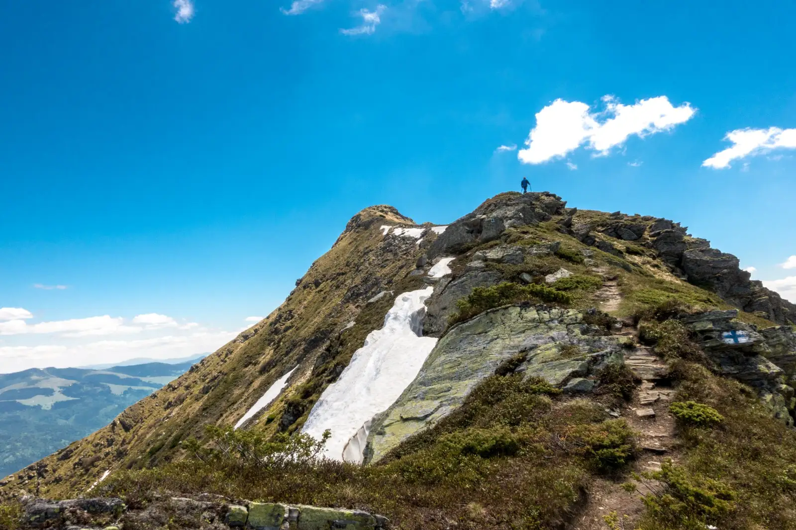  Vf Rosu - Csaba-Ilie Silvesan