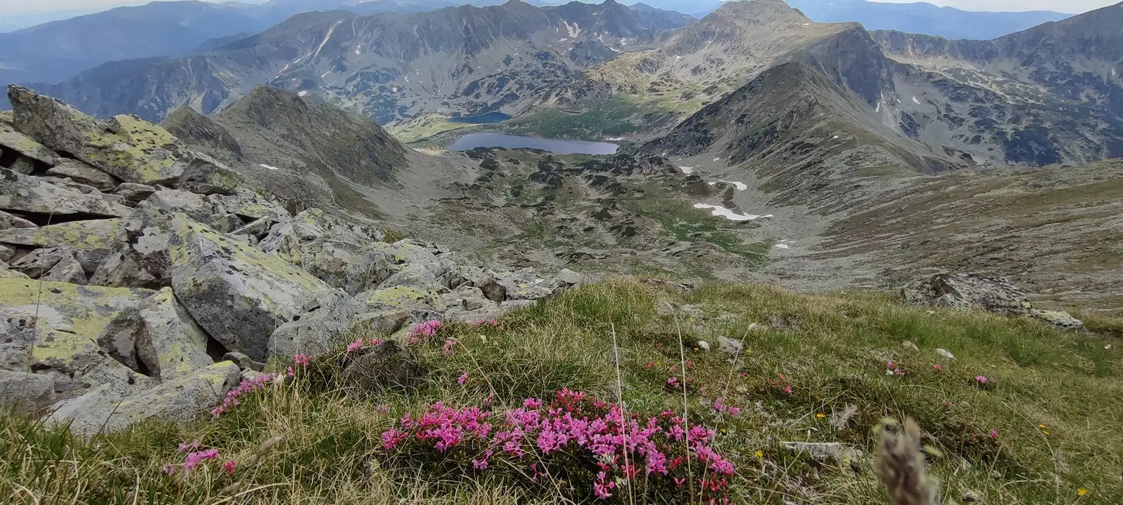  Cădarea Bucura și îmrejurimi - Manu Munțomanu