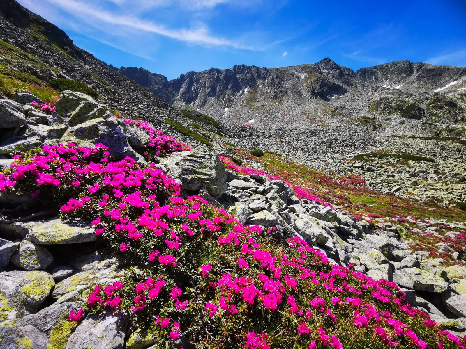  Căldarea superioară a Galeșului, spre Șaua Vârfului Mare. - Morar Daniel