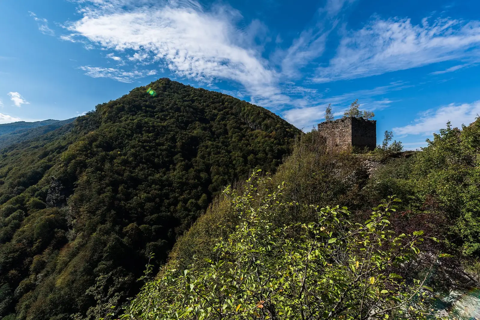  Cetatea Colț - Morar Daniel