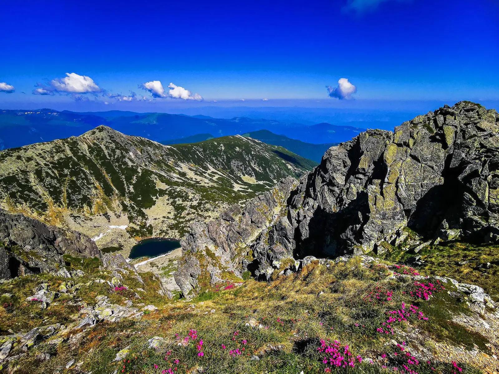  Lacul sau Tăul Ștevia - Morar Daniel