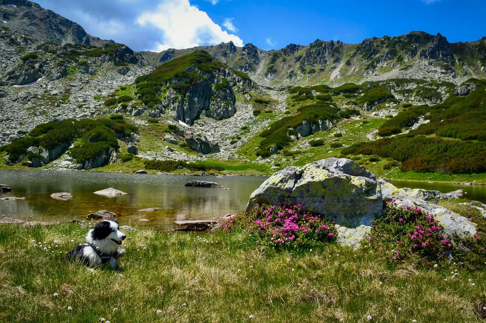 Lacul Stânișoara - Ioana Pop