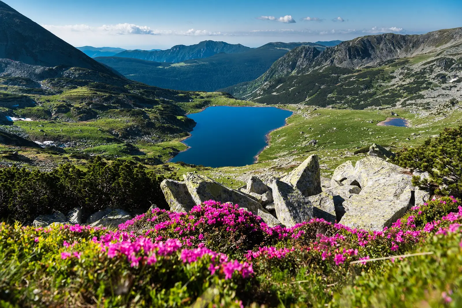  Lacurile Bucura și Bucurelul văzute dinspre Șaua Bucurei. - Morar Daniel