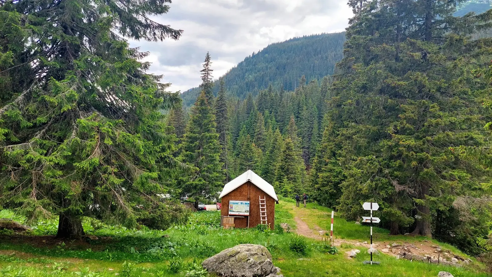  Poiana Pelegii - Sima Constantin