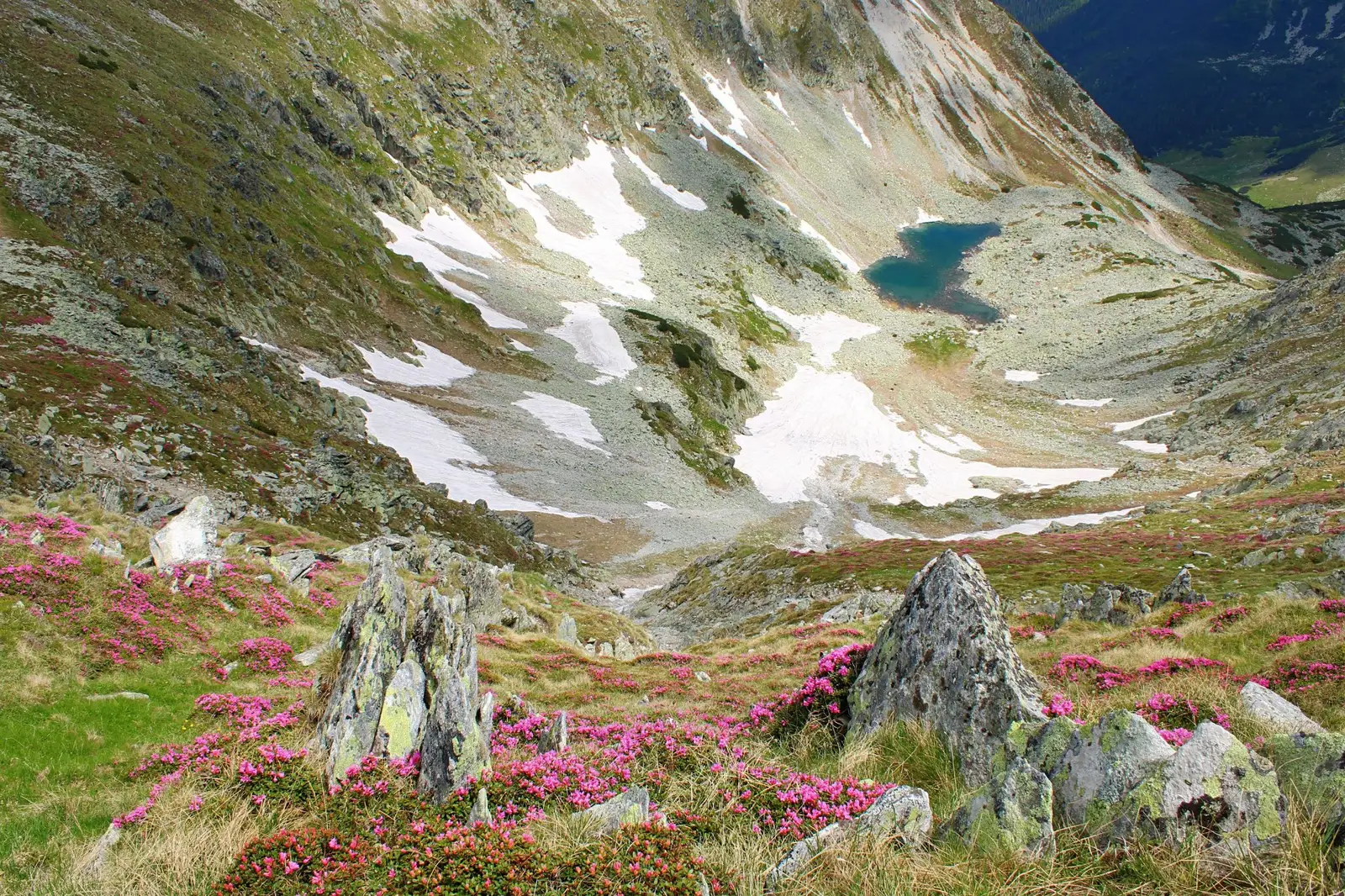  Tăul Adânc sau Tăul Păpușii - Sima Constantin