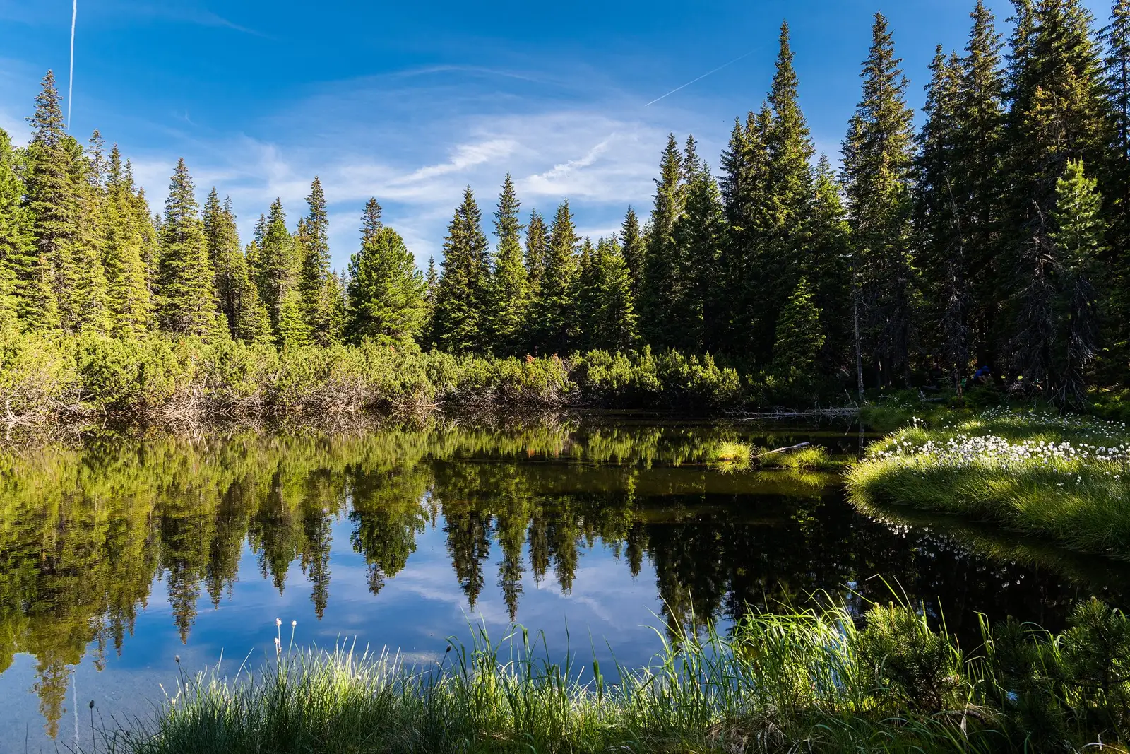  Tăul dintre Brazi - Morar Daniel