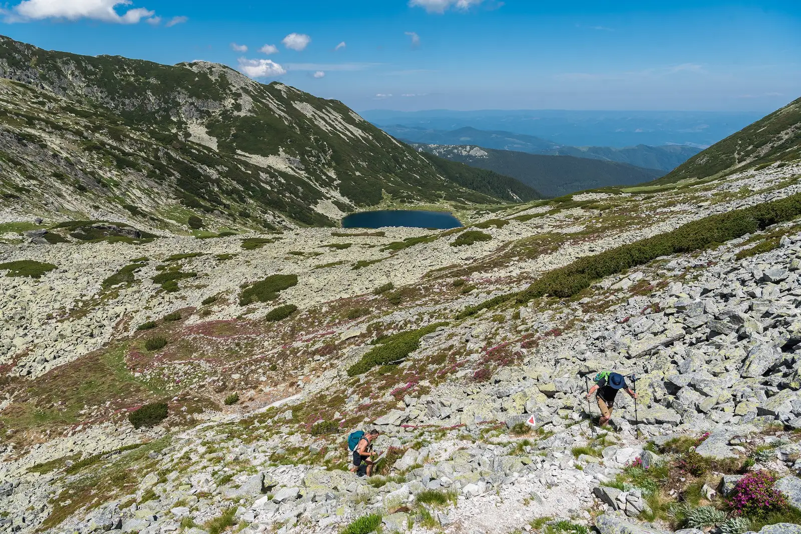  Urcarea spre Șaua Vârfului Mare - Morar Daniel