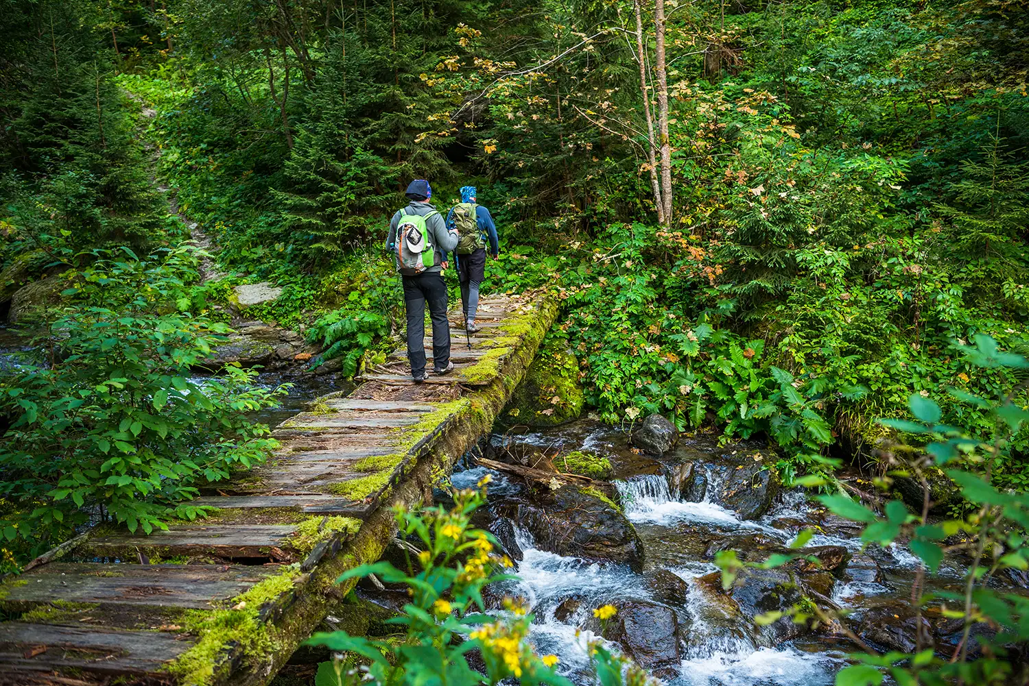 Munții Făgărașului