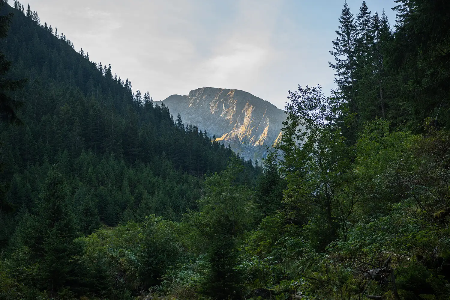 Munții Făgărașului