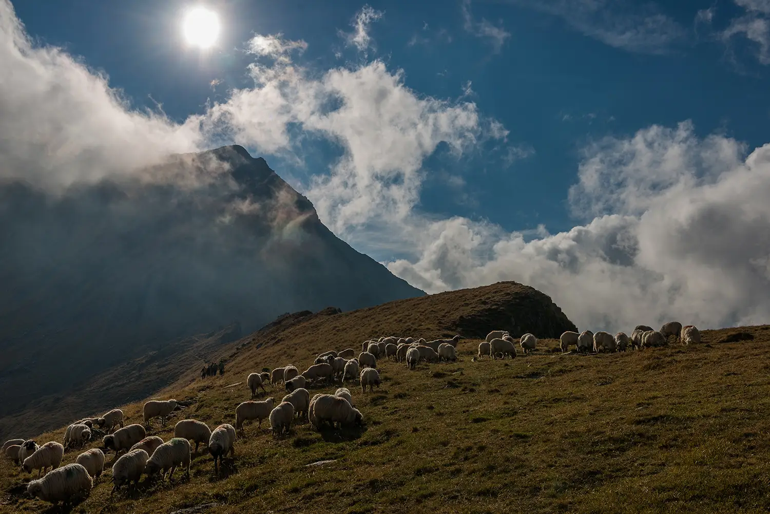 Munții Făgărașului