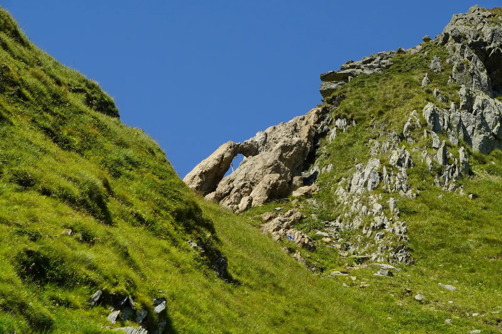  Fereastra Zmeilor - Adrian Vintilă