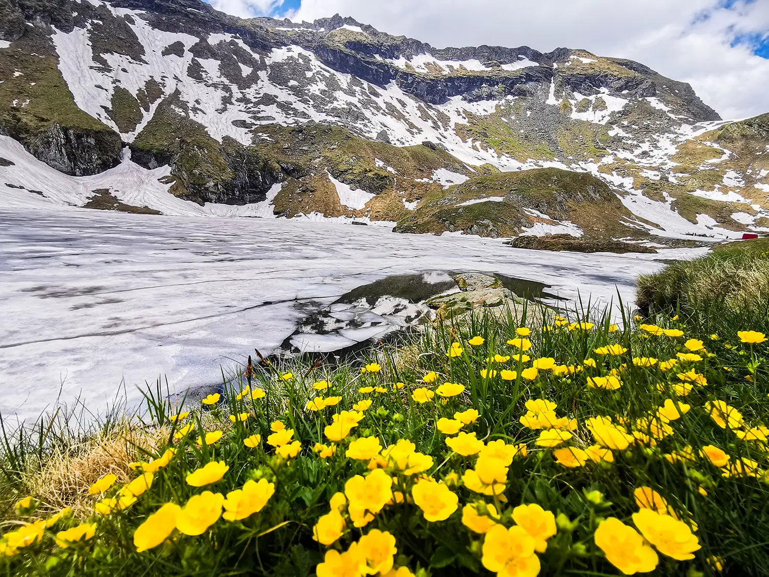 Munții Făgărașului
