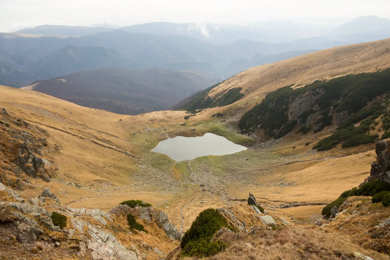 Lacul Gârdomanu - Csaba-Ilie Silvesan