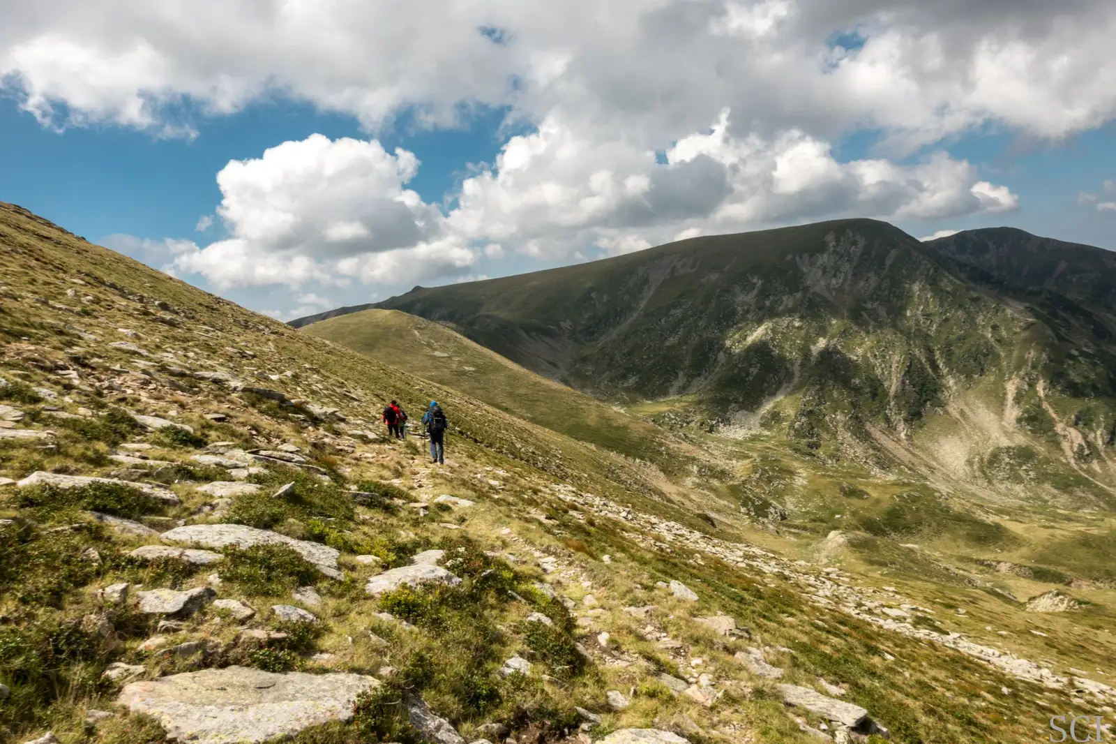 Sectorul Bulzu-Moraru - Csaba-Ilie Silvesan