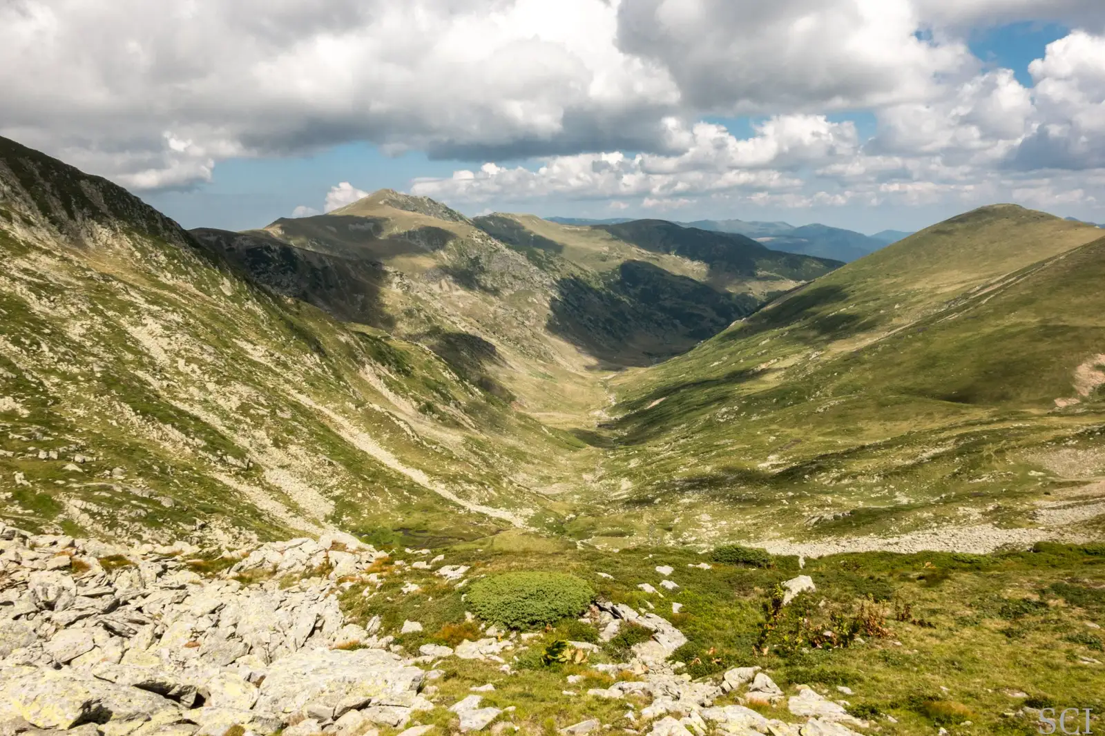Valea Mâțului - Csaba-Ilie Silvesan
