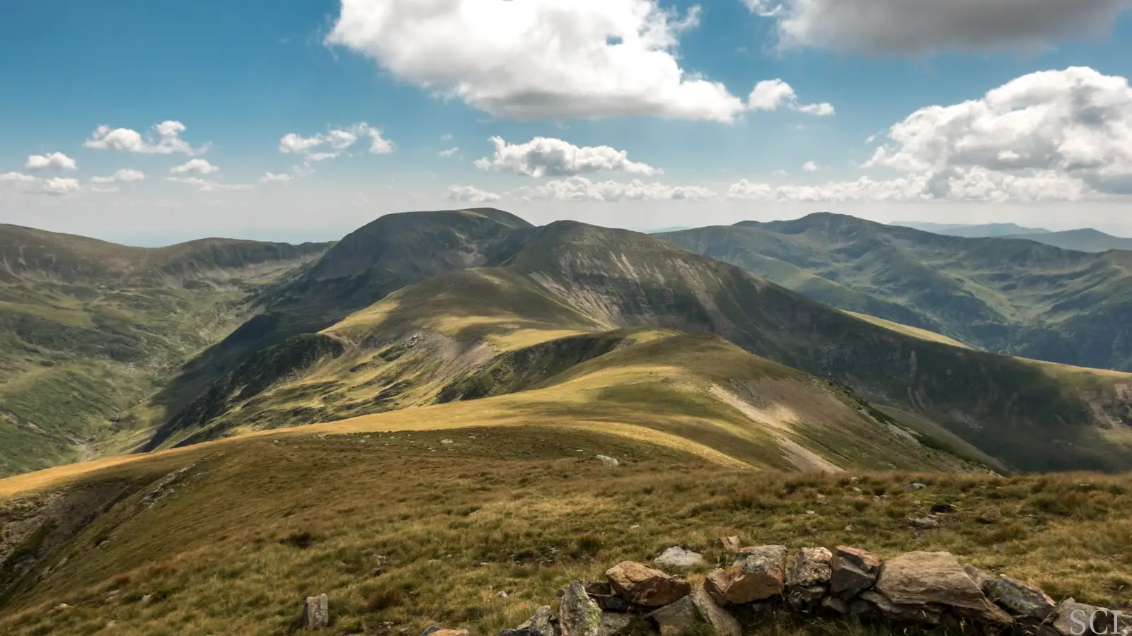 Culmea Dosu-Moraru - Csaba-Ilie Silvesan