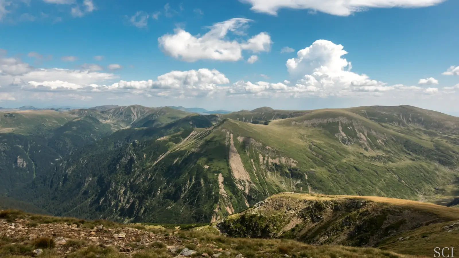 Platforma de Eroziune Alpina Borascu - Csaba-Ilie Silvesan