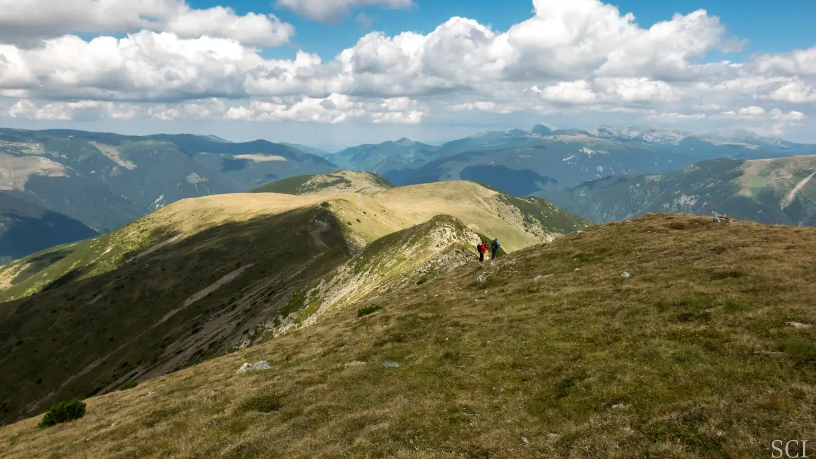 Culmea vârfurilor Gugu-Merila Mare - Csaba-Ilie Silvesan