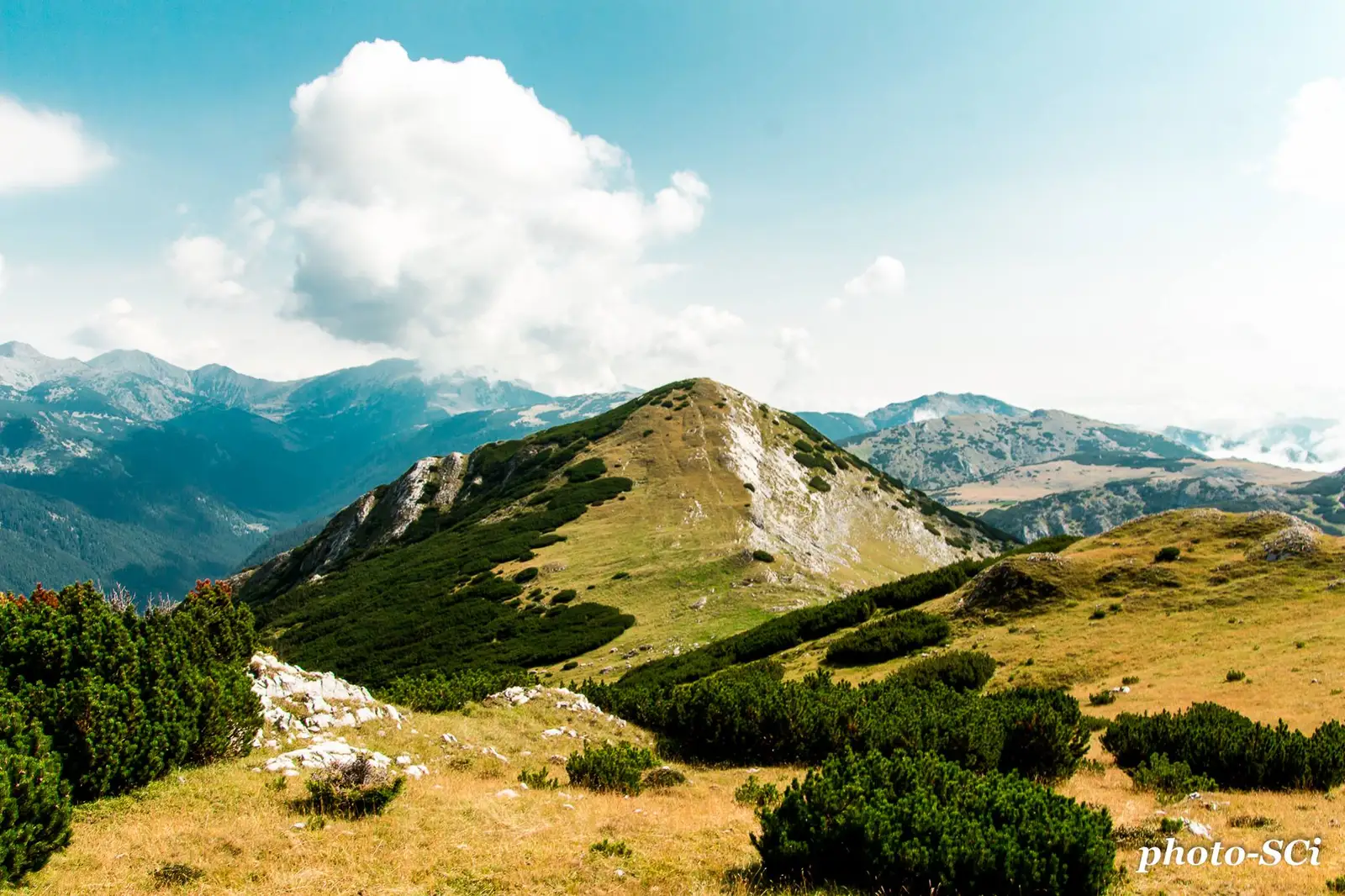 Stănuleții Mari - Csaba-Ilie Silvesan