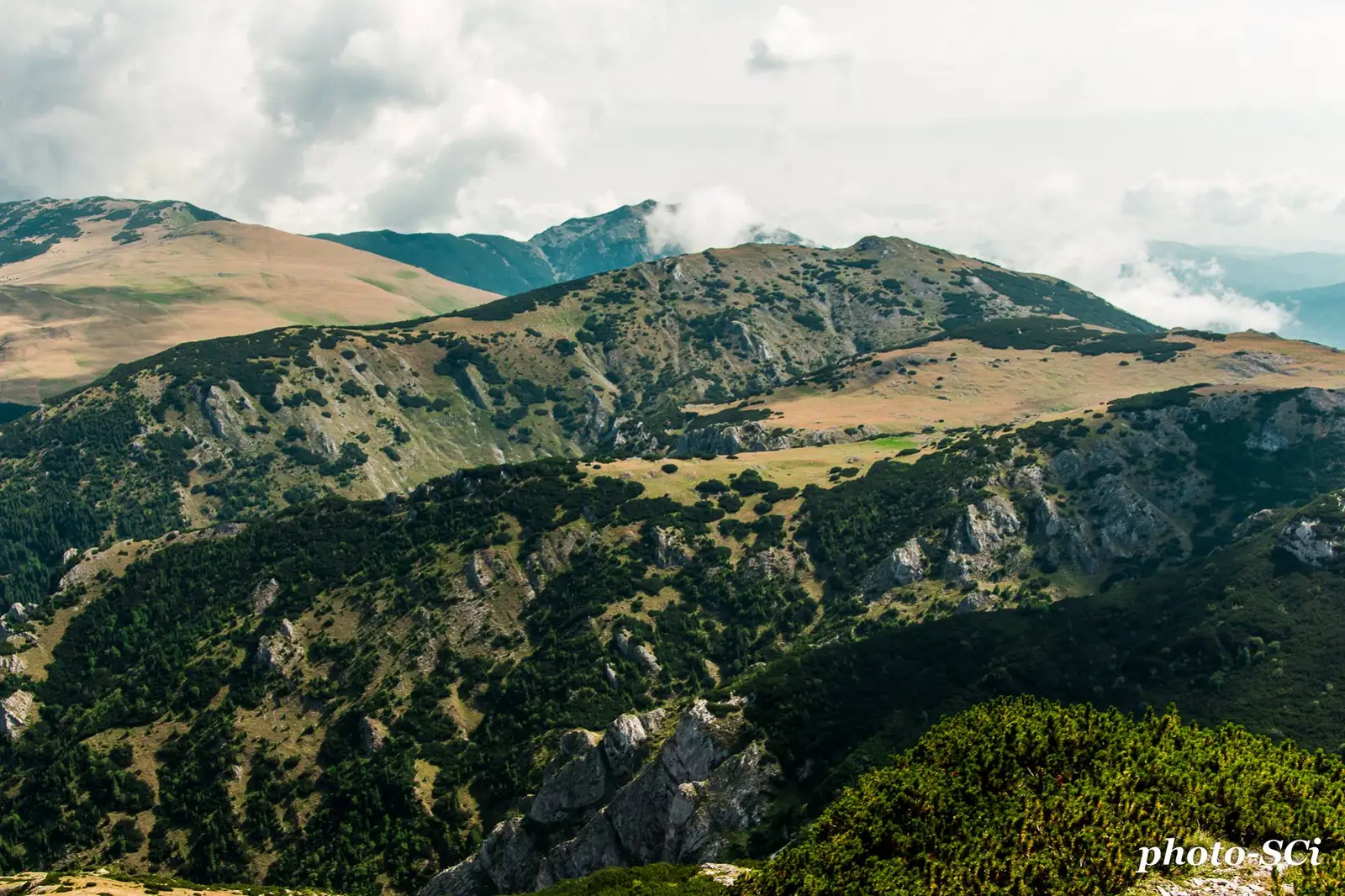 Locu Rău - Csaba-Ilie Silvesan