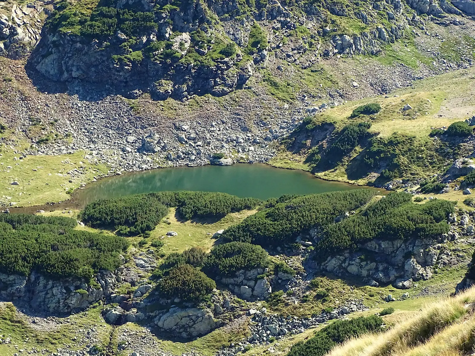 Lacul Gugu - Marius Munteanu